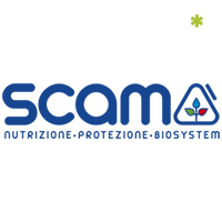 scam x ecofi 3