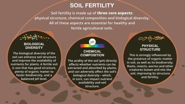 soil-fertility